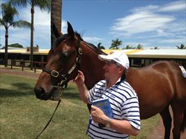 Mossman x Informant colt at Magic Millions